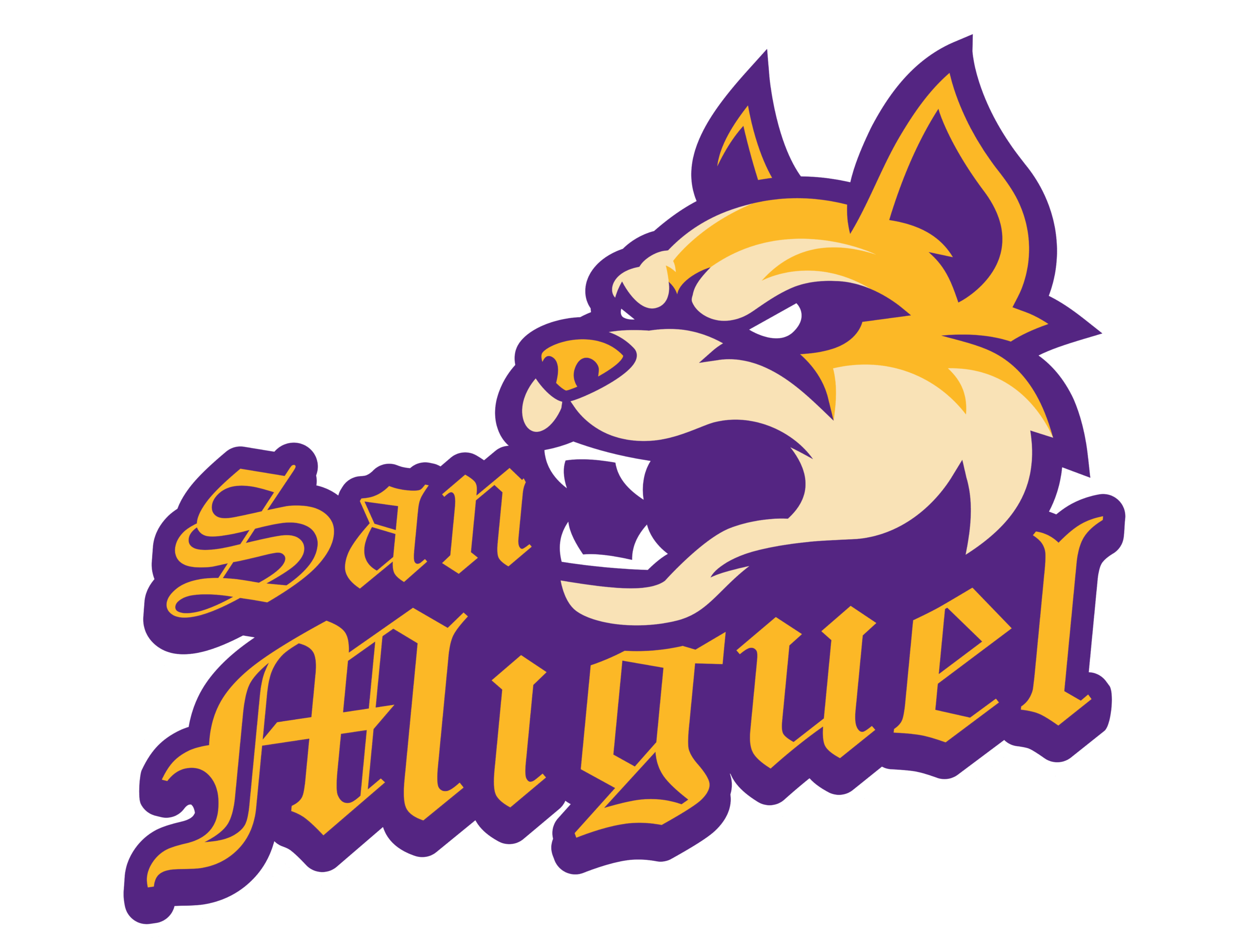 S.D. SAN MIGUEL